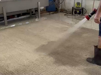 Best Persian Rug Fringe Cleaning