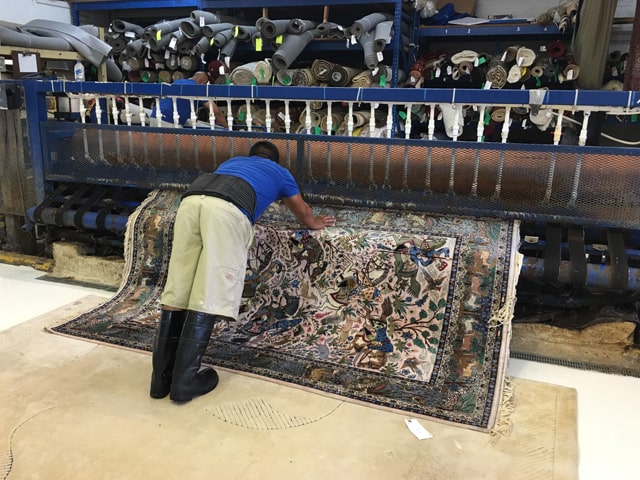 Miami Rug cleaning