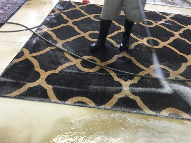 Miami Carpet Cleaners