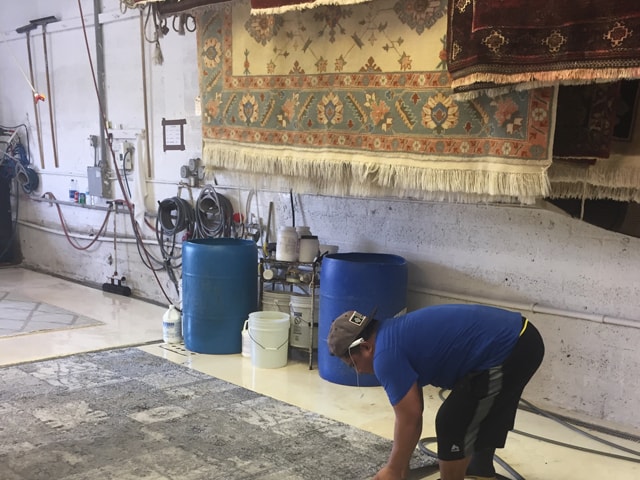 Oriental Rug Care