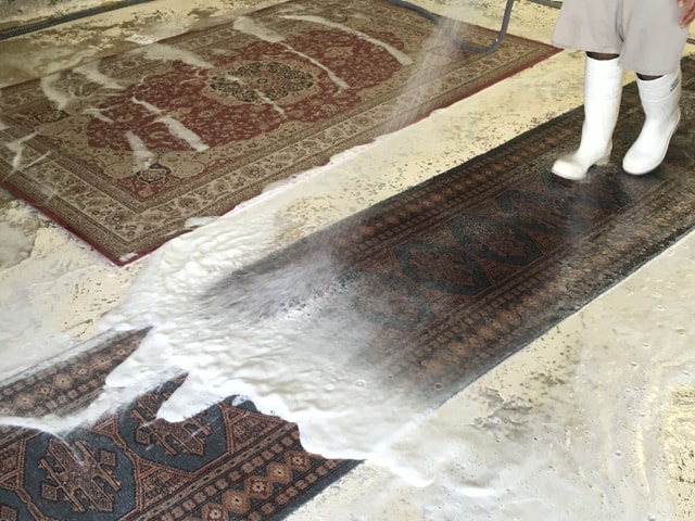 Rug Cleaning Florida