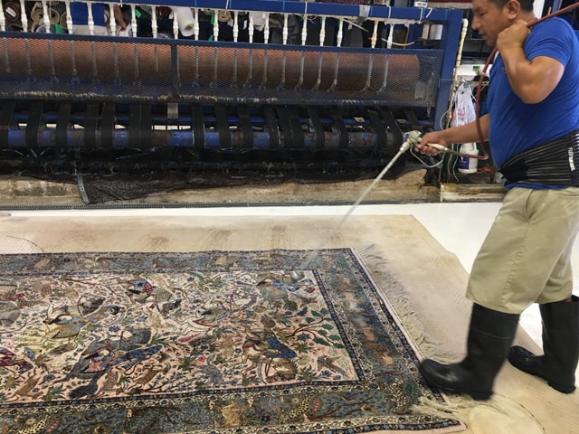 Oriental Rug Cleaning