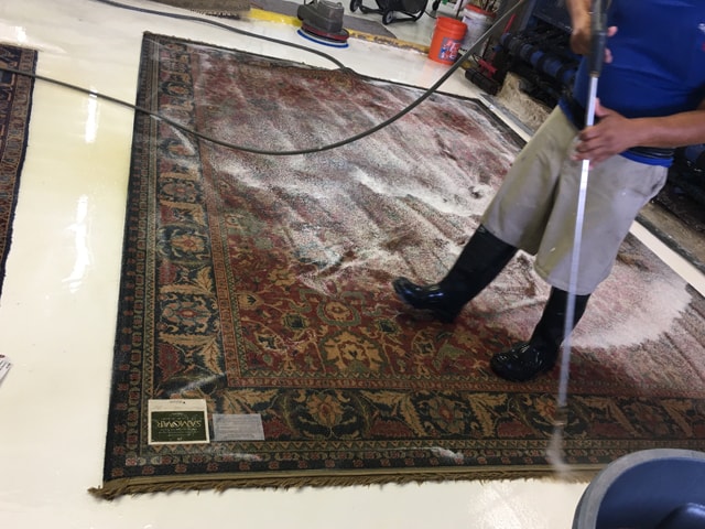 Rug Cleaning