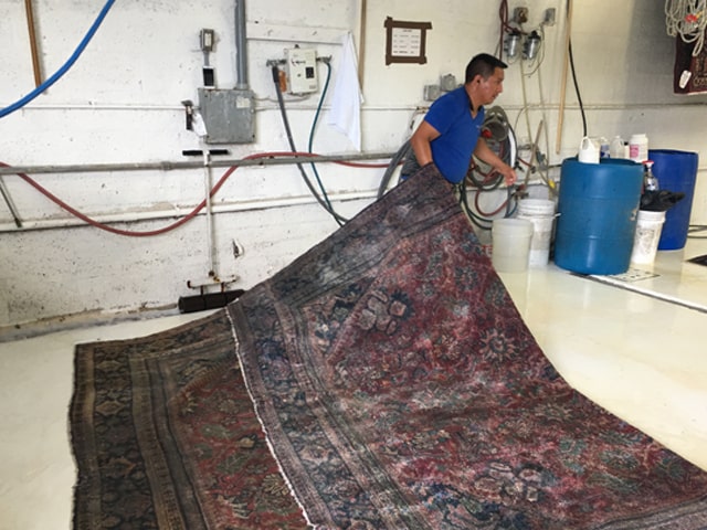 Oriental Rug Cleaning