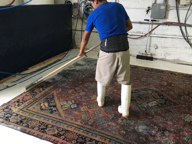 Rug Cleaning