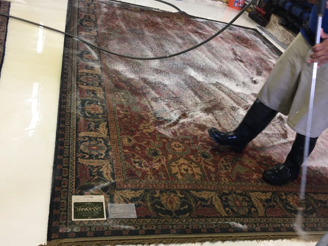 Oriental Rug Cleaning