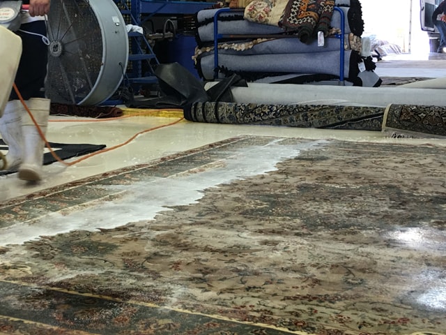 Rug Cleaning