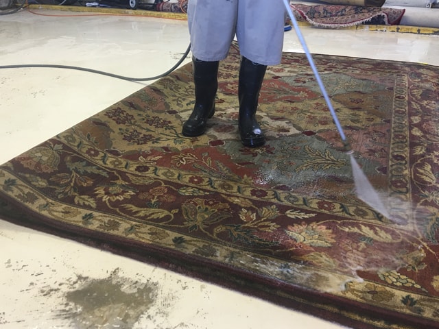 Rug Cleaning Company