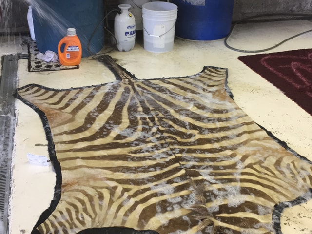 Best Rug Cleaning