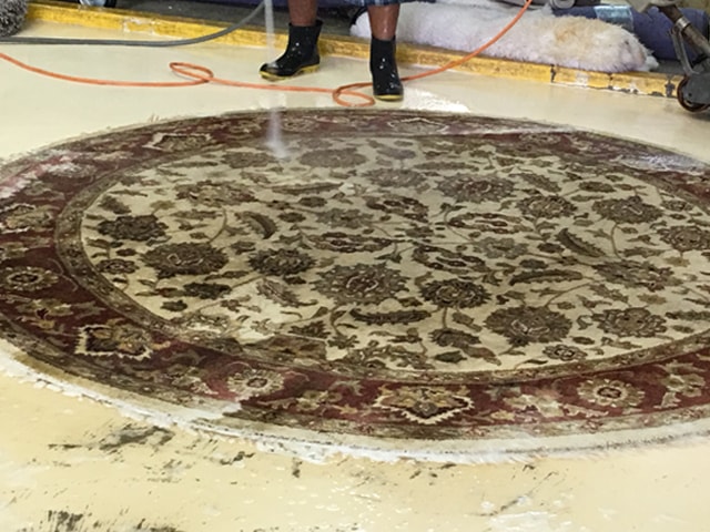 Clean and Restore Area Rug