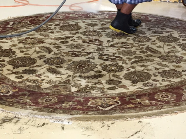 Rug Cleaning