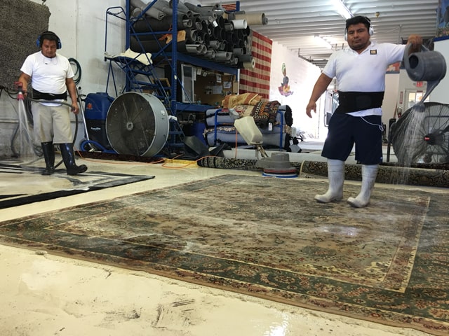 Rug Cleaning in South Florida