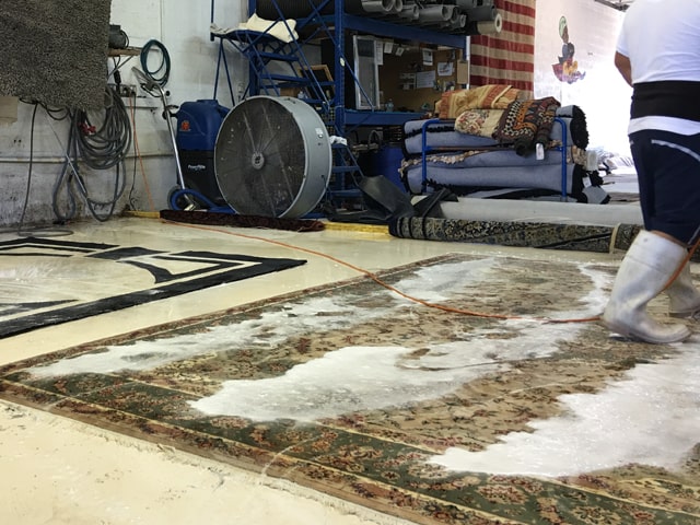 Rug Cleaning in South Florida