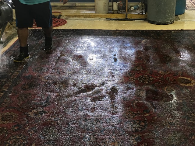 Oriental Rug Care