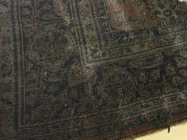 Rug Cleaning Service in Fort Lauderdale