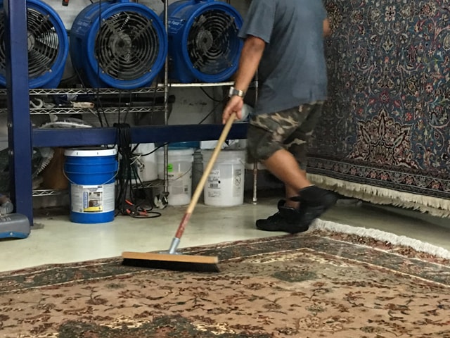 Rug Cleaning Process Ft Lauderdale