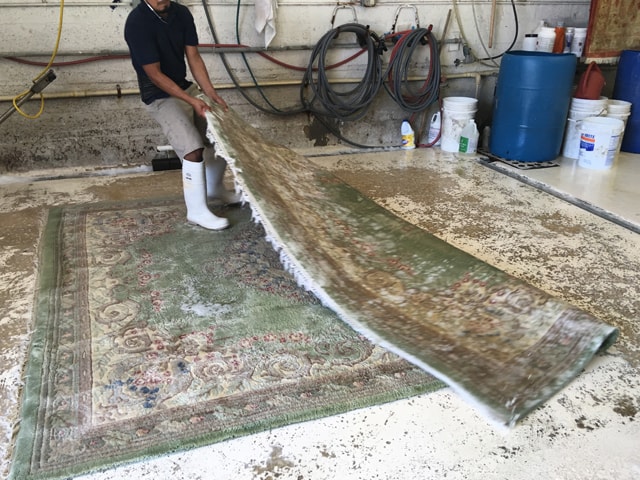 Rug Cleaning Company