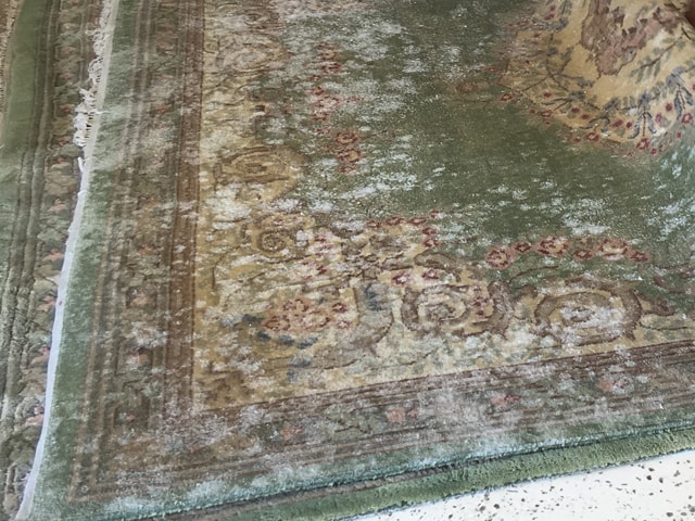 Rug Cleaning in Delray Beach