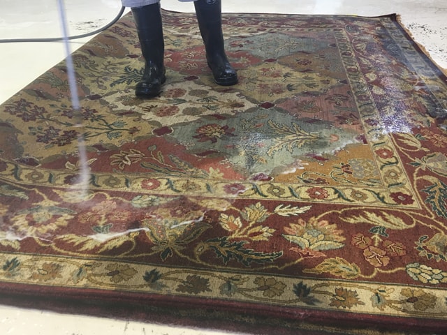 Rug Cleaning Jupiter,