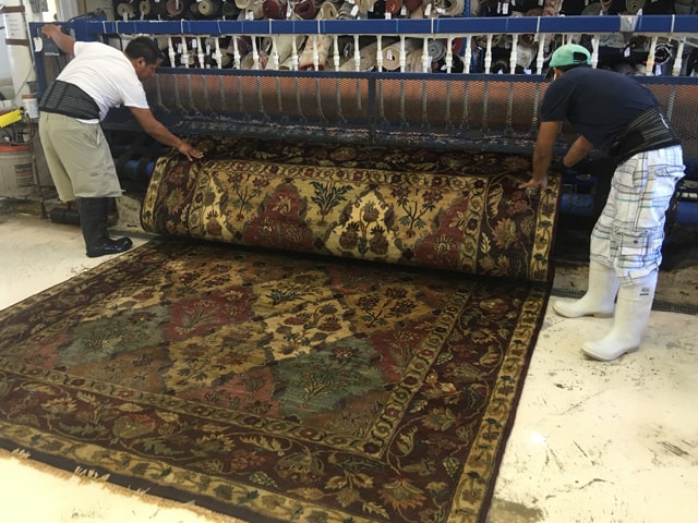 Rug Cleaning