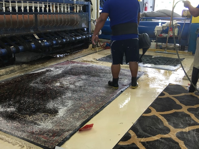 Need Rug Cleaning Process