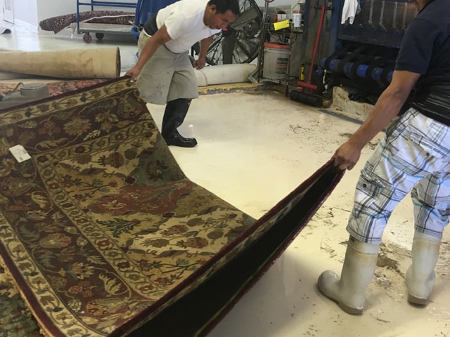 Rug Cleaning Process in Plantation