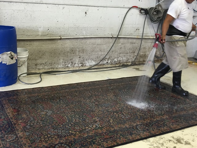 Essential Tips from Rug Cleaners