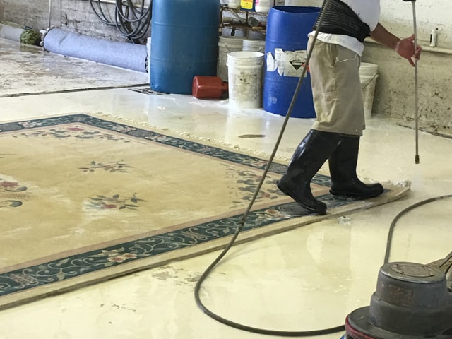 Professional Rug Cleaning