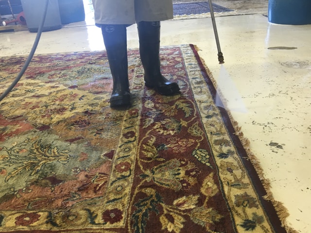 Rug Cleaning Process Fort Lauderdale