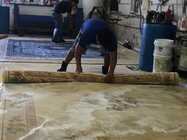 Our Rug Cleaning Processes in Boca Raton Area