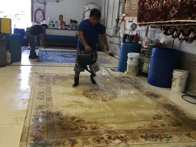 Our Rug Cleaning Processes