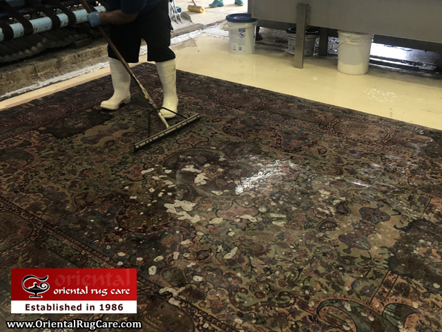 Area Rug Cleaning