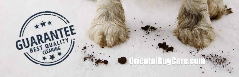 Guarantee Pet Odor Removal Process