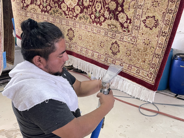 Oriental Rug Drying Process