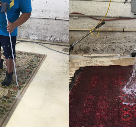 Oriental Rug Cleaning Services