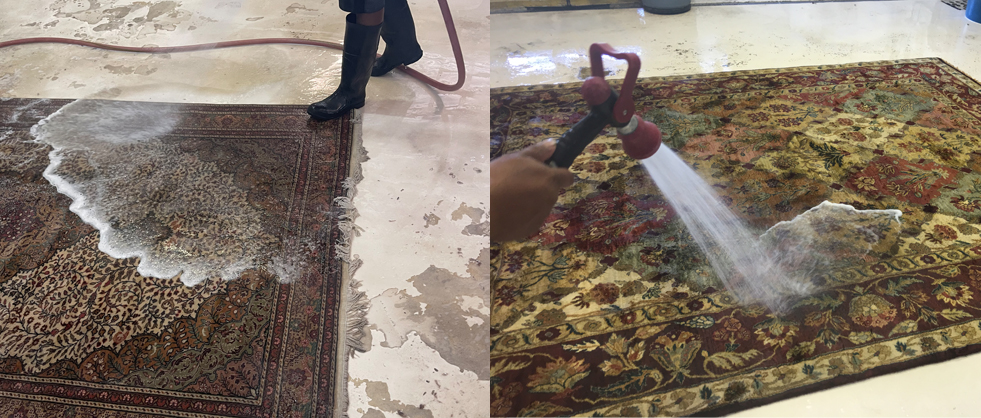 Oriental Rug Cleaning Services