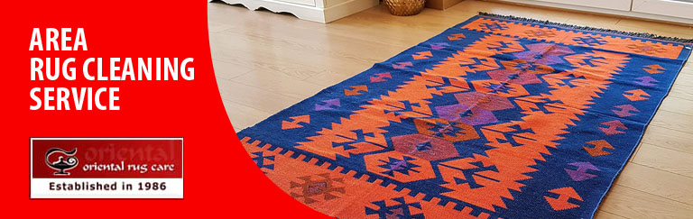 Area Rug Cleaning Services