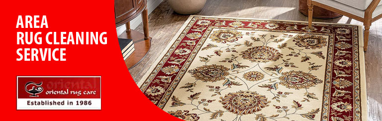 Area Rug Cleaning Services Jupiter