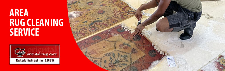 Area Rug Cleaning Services Boca Raton Area, FL