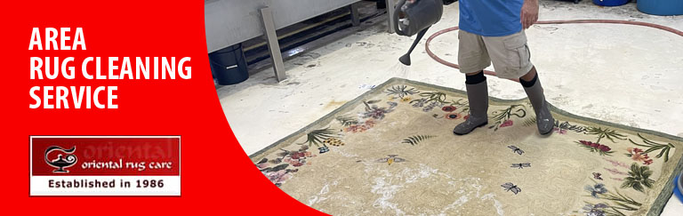 Area Rug Cleaning Fort Lauderdale