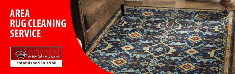 Area Rug Cleaning Services Boca Raton