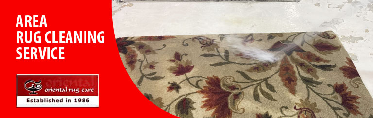 Expert Area Rug Cleaning Services Fort Lauderdale