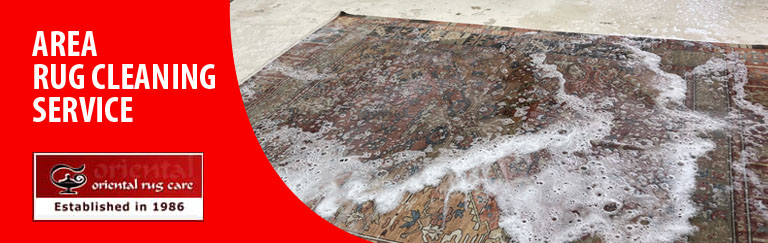 Area Rug Cleaning Services Palm Beach Area, FL