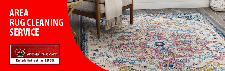 Area Rug Cleaning Services Palm Beach