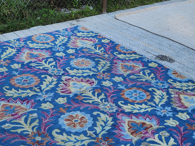 Oriental & Area Rug Cleaning near Fort Lauderdale, FL