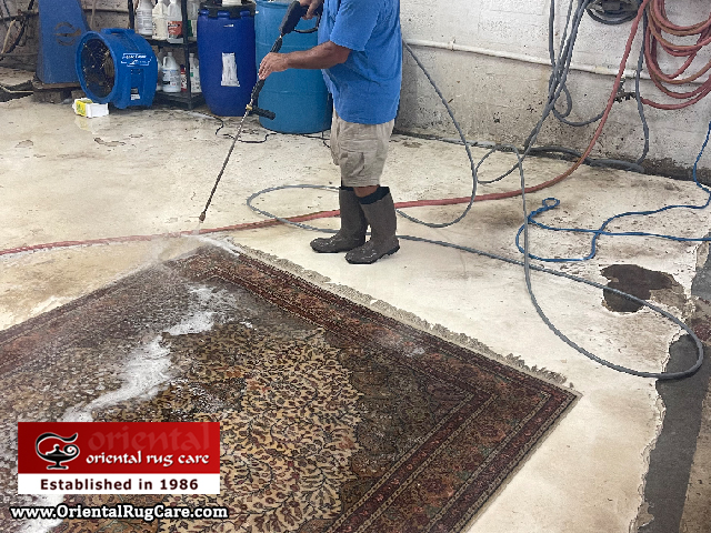 Rug Cleaning Palm Beach