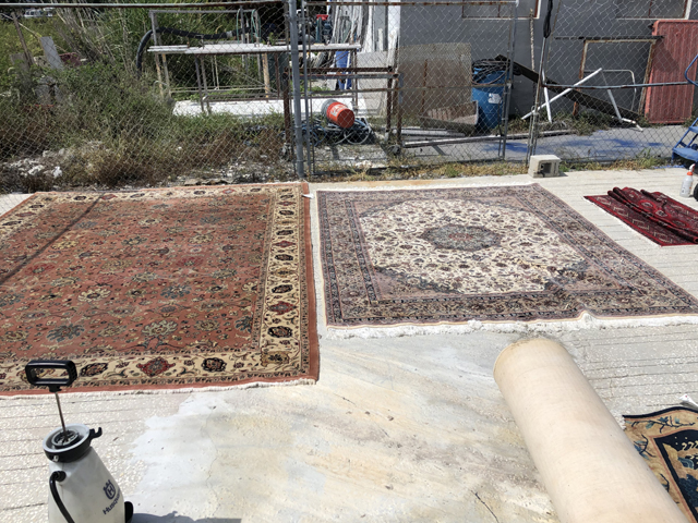 Area Rug Clean & Restore Palm Beach