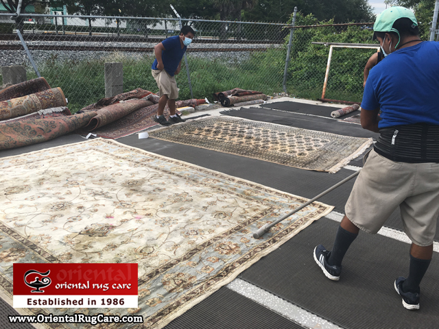 Oriental Rug Dusting Process Lake Worth