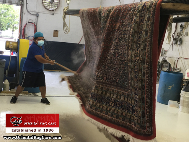 Rug Dusting Service Lake Worth