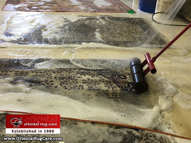 Rug Pet Stain Removal Service Vero Beach